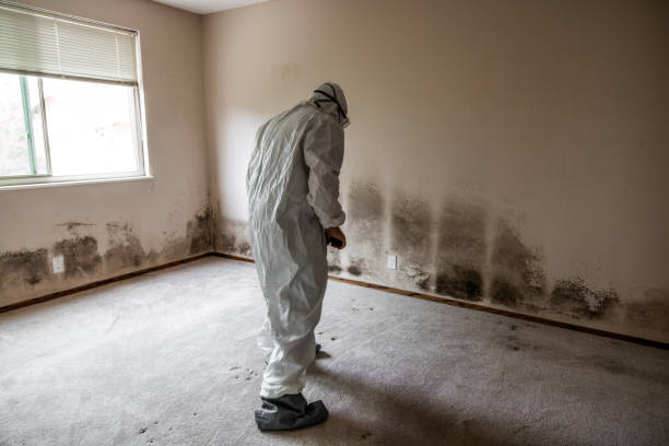 Hope Valley, RI Mold Remediation Company